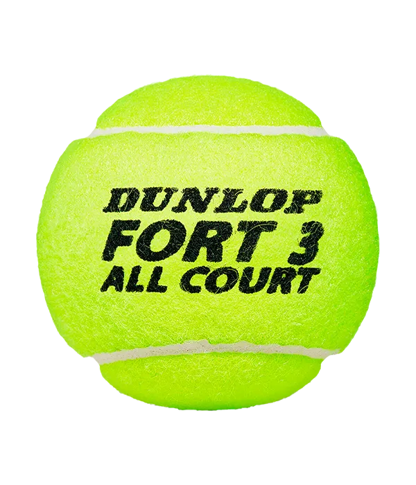 Bote de Balls Dunlop Fort All Court (x4)