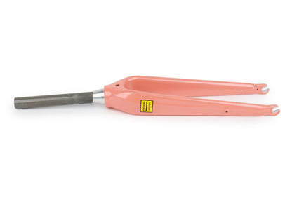 Aventon Fork