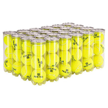 Practice Extra Duty Tennis Ball Case-Balls-Wilson-769-DEFAULT-L-Tennis Express