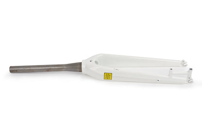 Aventon Fork