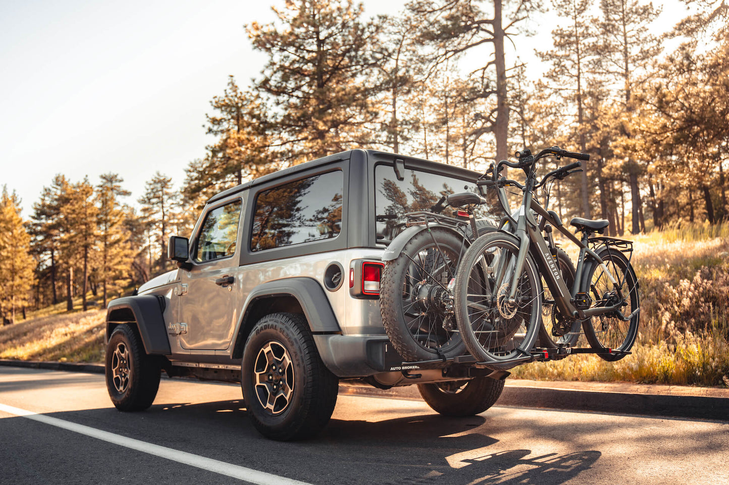 Aventon Hitch Rack
