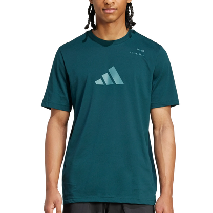 Men's Category Graphic Tennis Tee Aurora Ivy