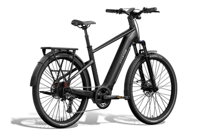 Level 4 ADV Ebike