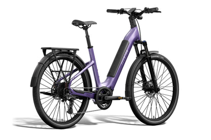 Level 4 ADV Step-Through Ebike