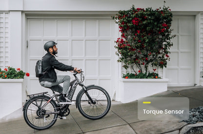 Level 2 Ebike