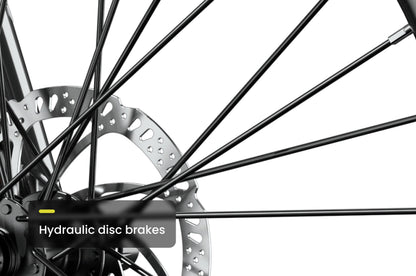 Level 2 Step-Through Ebike