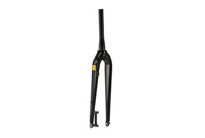 Aventon Fork