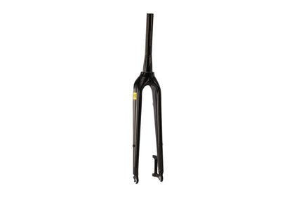 Aventon Fork