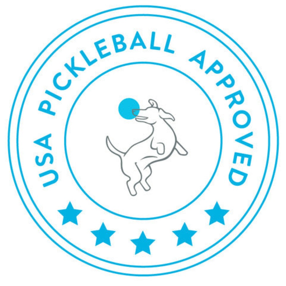 Swinton Pickleball Hero Pink Stripe Pickleball Paddle