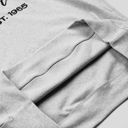 Banger Pickleball Origins Hoodie