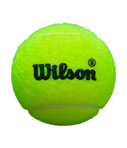 Box Balls  Wilson Padel Premier Speed (Pack x24)