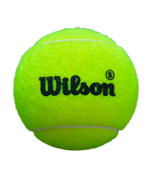 Balls  Wilson Padel Premier Speed (Pack x3)