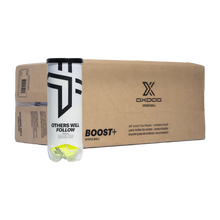 Box Balls  Oxdog BOOST+ (Pack x24)