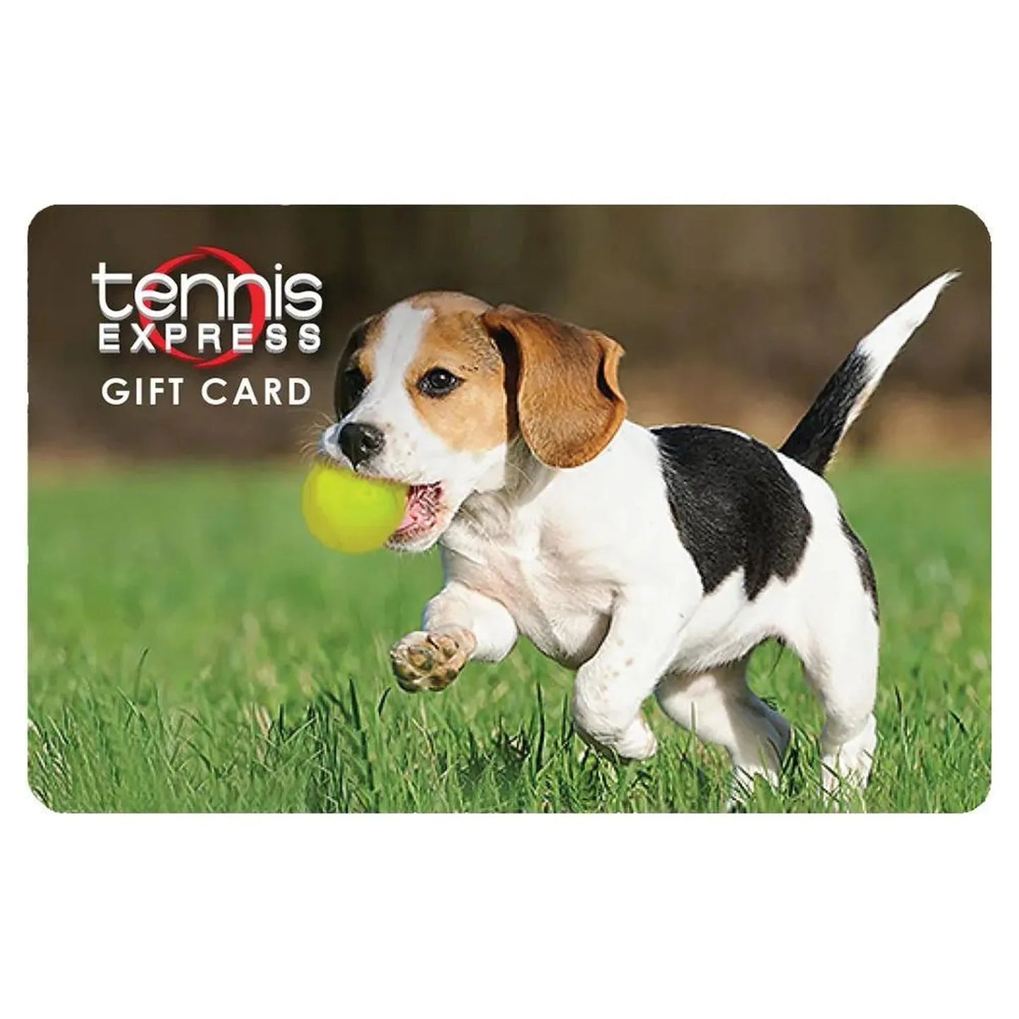 Dog Gift CardsTienda Tennis
