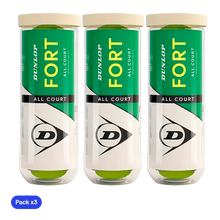 Balls  Dunlop Fort All Court (Pack x3)