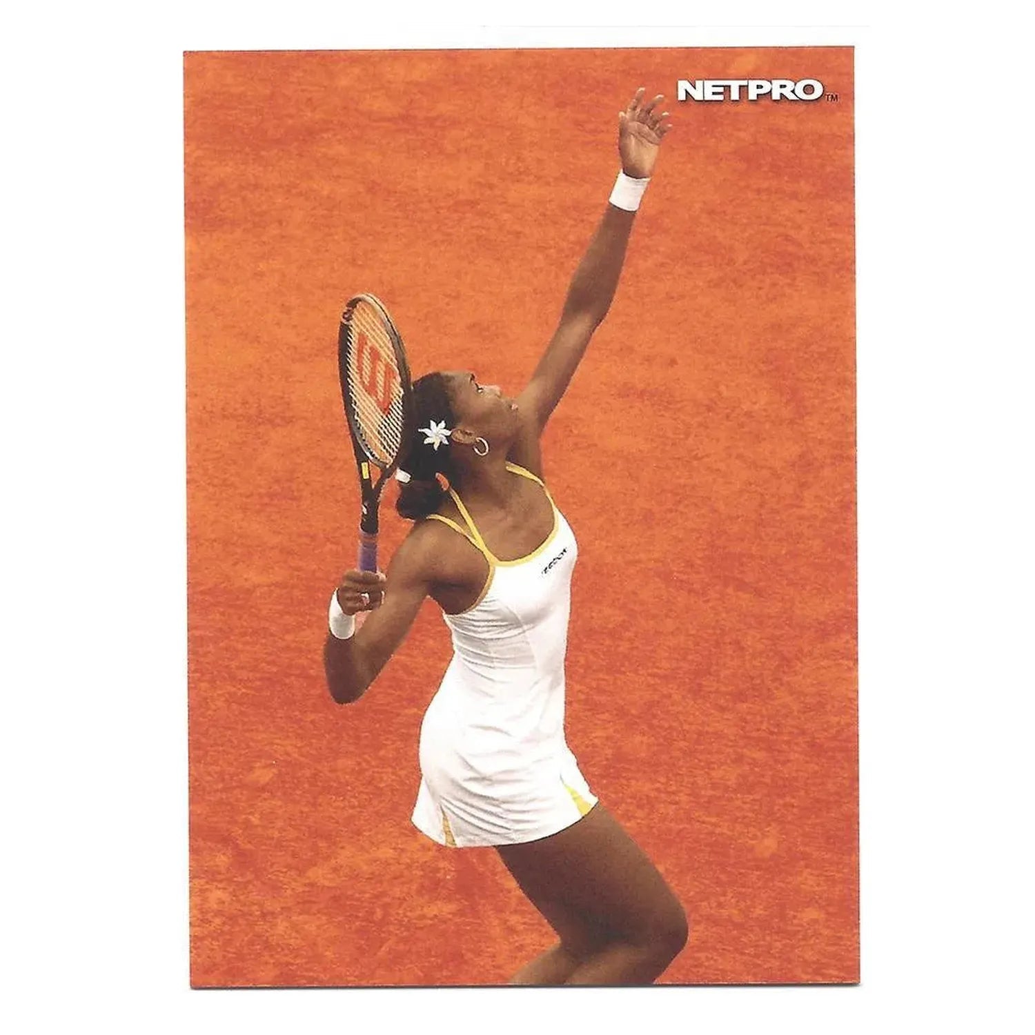 NETPRO Photo Edition Tennis Collector Card SetTienda Tennis