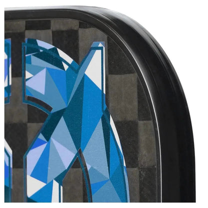 Outbreak Graphite Pickleball PaddleTienda Tennis